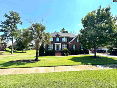 A home in Chapin