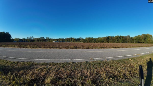 0 MEANDER DRIVE, TIMMONSVILLE, SC 29161 - Image 2d7b6d6ca3e281fca691a6e659063d99/2777790812