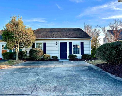 Photo of 122 Hounds Court S, Columbia, SC 29223 (MLS # 622057)