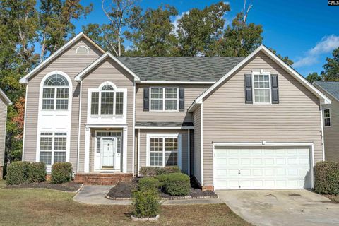 Photo of 20 Persimmon Wood Court, Irmo, SC 29063 (MLS # 621213)