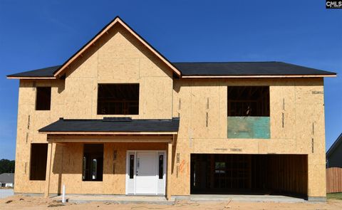 A home in Chapin