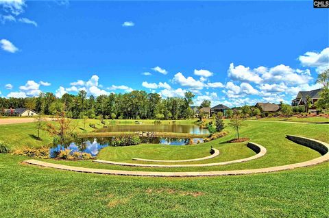 A home in Chapin