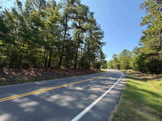 427 MURRAY LINDLER RD, CHAPIN, SC 29036 - Image 2de9cb649c0ffe304ba0bcdc0e6ae1e2/3280063950