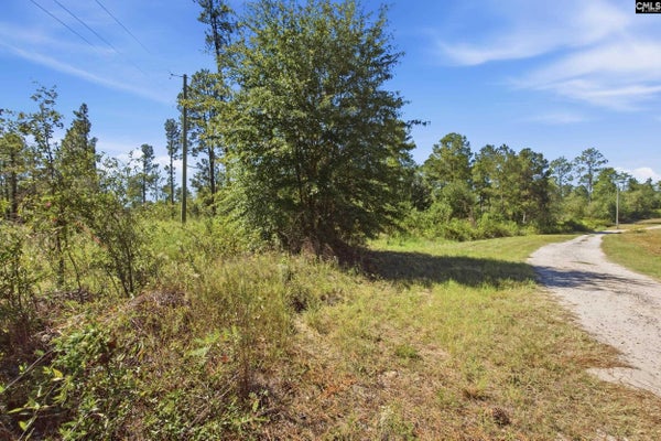 0 MARTIN SMITH ROAD, GILBERT, SC 29054 - Image 2e1034e36e7d6095814e2a0cb7bb03a6/1203334796