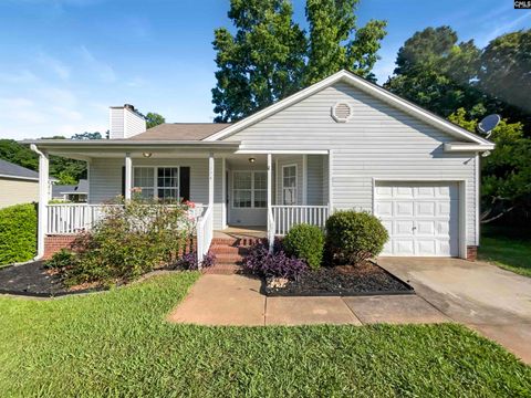 A home in Chapin