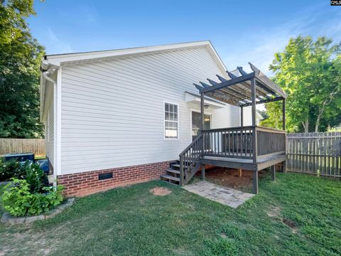 A home in Chapin