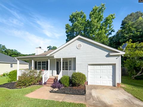 A home in Chapin