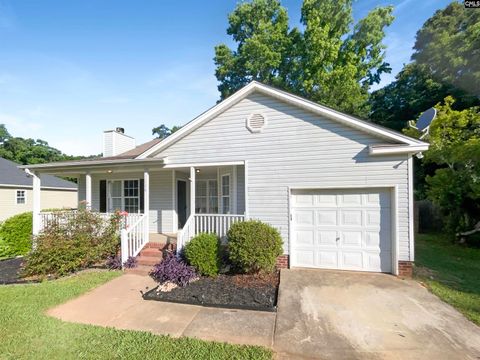 A home in Chapin