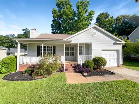 A home in Chapin