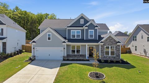Photo of 514 Wild Ginger Loop, Irmo, SC 29063 (MLS # 636417)