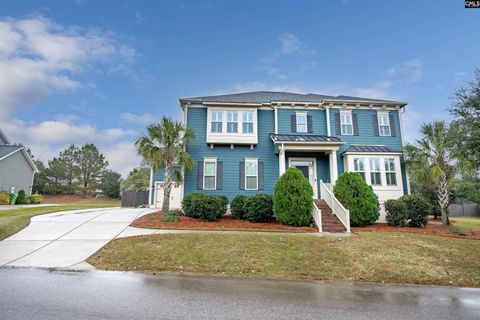 A home in Chapin