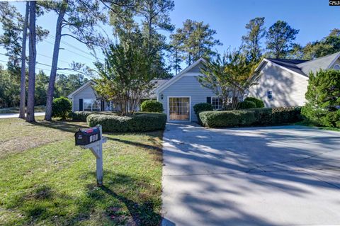 Photo of 101 Grinders Mill Road, Columbia, SC 29223 (MLS # 620272)