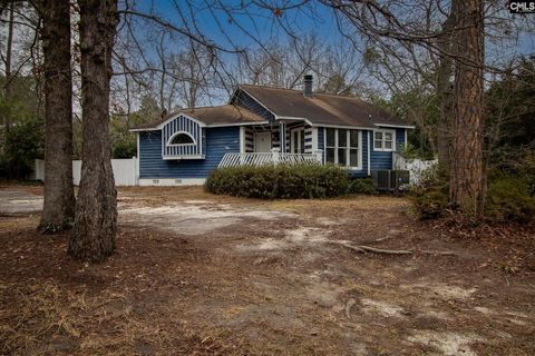 Photo of 159 Darian Drive, Lexington, SC 29073 (MLS # 628192)
