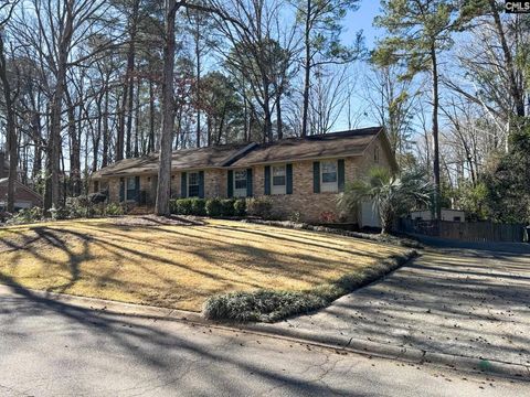 Photo of 1351 Raintree Drive, Columbia, SC 29212 (MLS # 626611)