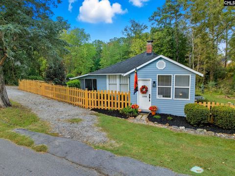 Photo of 1008 Jones Road, Irmo, SC 29063 (MLS # 619213)