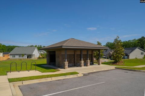 A home in Chapin