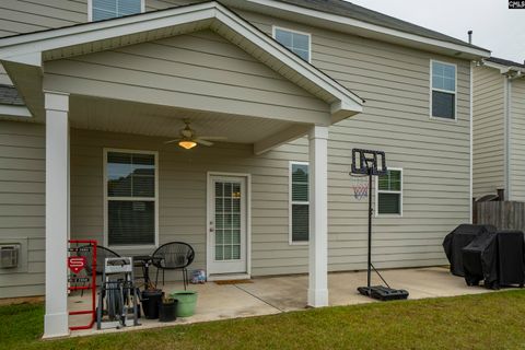 A home in Chapin