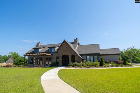 A home in Chapin