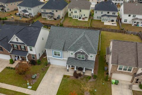 A home in Chapin