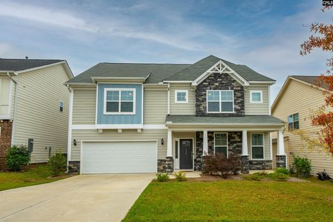 A home in Chapin