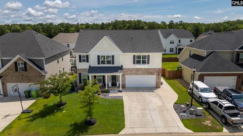 A home in Chapin