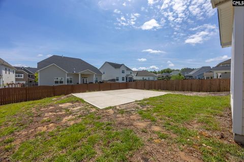 A home in Chapin