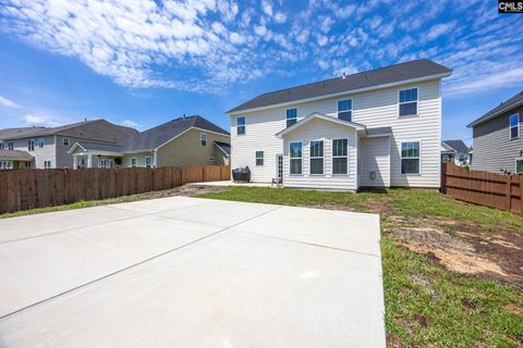 A home in Chapin