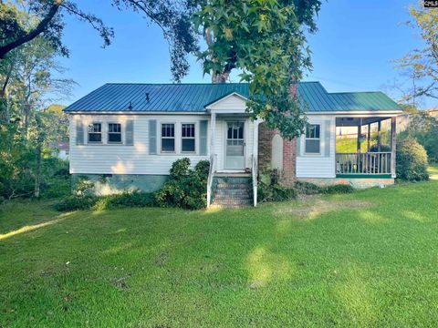 Photo of 404 N Jennings Street, Saluda, SC 29138 (MLS # 615783)