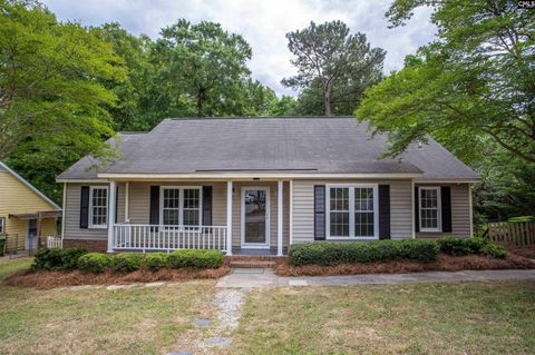 Photo of 208 River Walk Way, Irmo, SC 29063 (MLS # 632629)