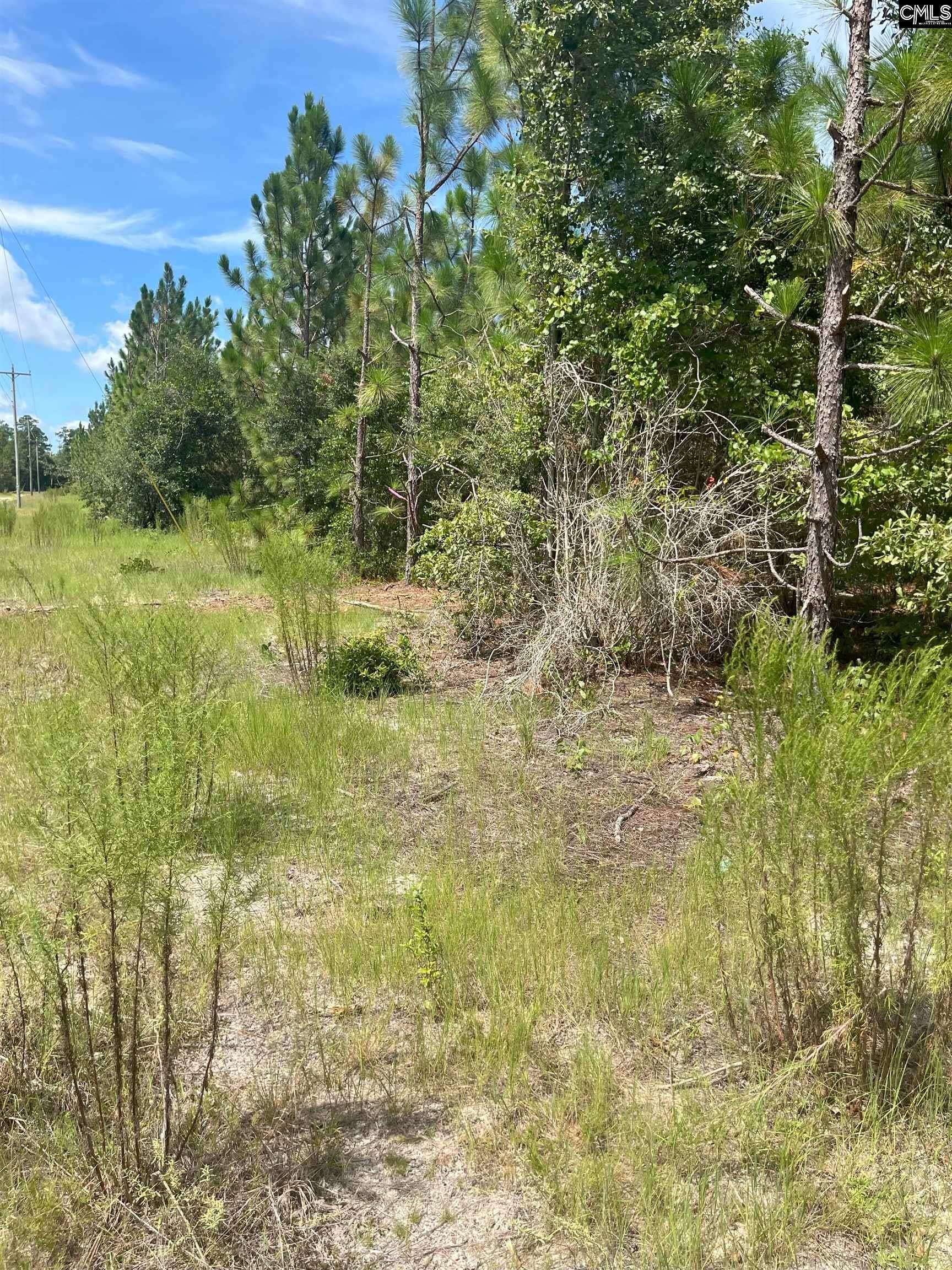 PPF 17 Payne Pond Road Unit PPF 17, Westville, SC, 29175