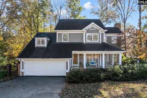 108 Stoney Point Lane Chapin SC 29036