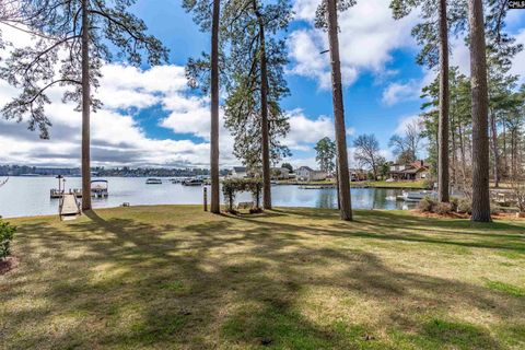 13 East Drive Chapin Sc 29036