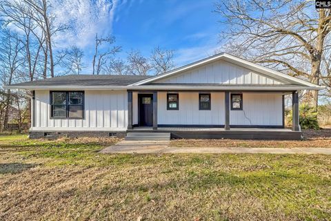 Photo of 3048 Wessinger Road, Chapin, SC 29036 (MLS # 624154)