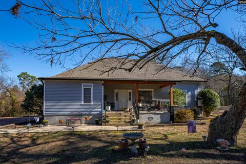 Photo of 124 Peak Street, Chapin, SC 29036 (MLS # 625687)