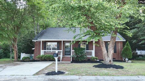 Photo of 143 Renaissance Way, Columbia, SC 29204 (MLS # 621530)