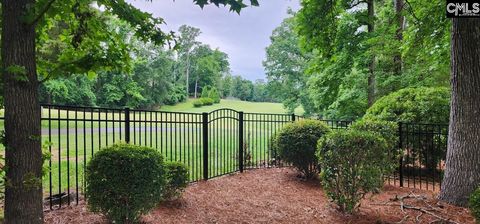 A home in Chapin