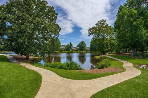 A home in Chapin