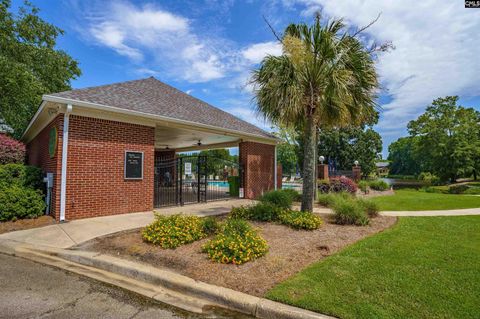 A home in Chapin