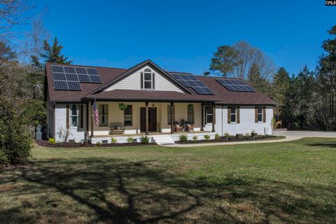 Photo of 141 Eagle Chase Court, Chapin, SC 29036 (MLS # 629137)