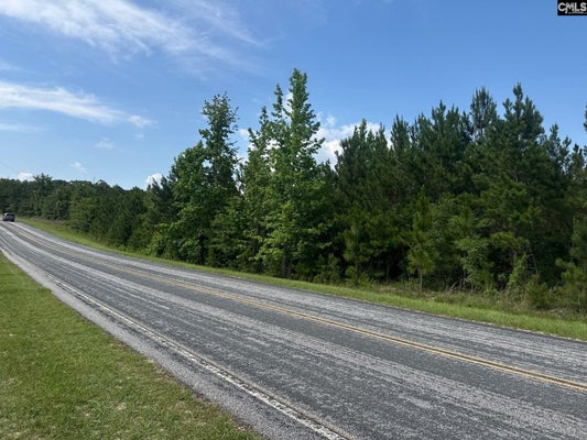 MT PISGAH RD, JEFFERSON, SC 29718 - Image 3385e892d1f9d6d5c86fe104007f2fb9/4177682290