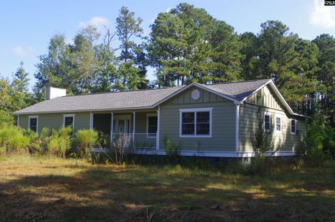 Photo of 243 Bridalwreath Drive, St. Matthews, SC 29135 (MLS # 617538)