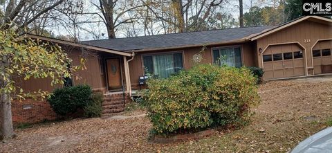 Photo of 218 Shetford Road, Irmo, SC 29063 (MLS # 623270)