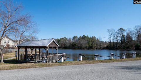 A home in Chapin