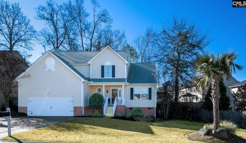 A home in Chapin