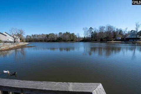 A home in Chapin