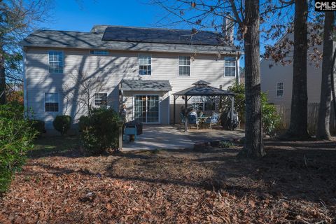 A home in Chapin