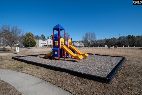 A home in Chapin