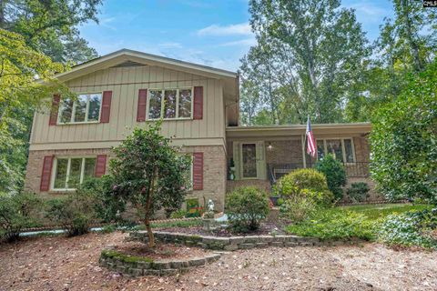 Photo of 105 Grice Court, Columbia, SC 29212 (MLS # 618496)