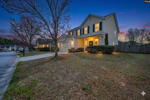 Photo of 152 Mesa Verde Drive, Lexington, SC 29073 (MLS # 628637)