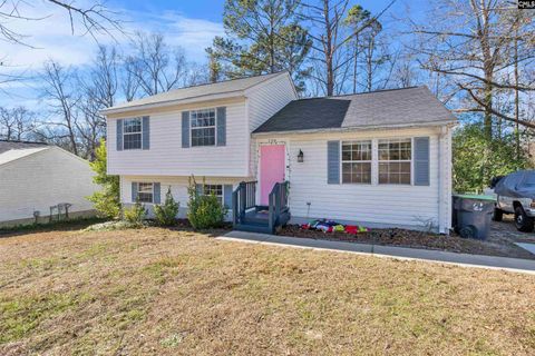 A home in Lexington